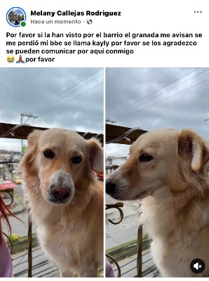 Foto de Kayly