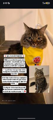 Foto de Milo