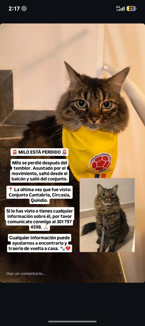 Foto de Milo