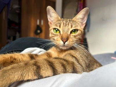 Foto de Pandora