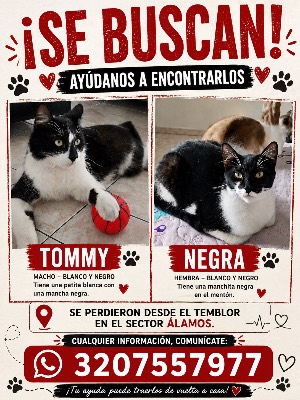 Foto de Tommy Y Negra