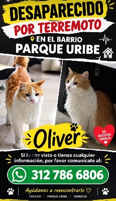Foto de Oliver
