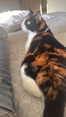 Foto de Clementina