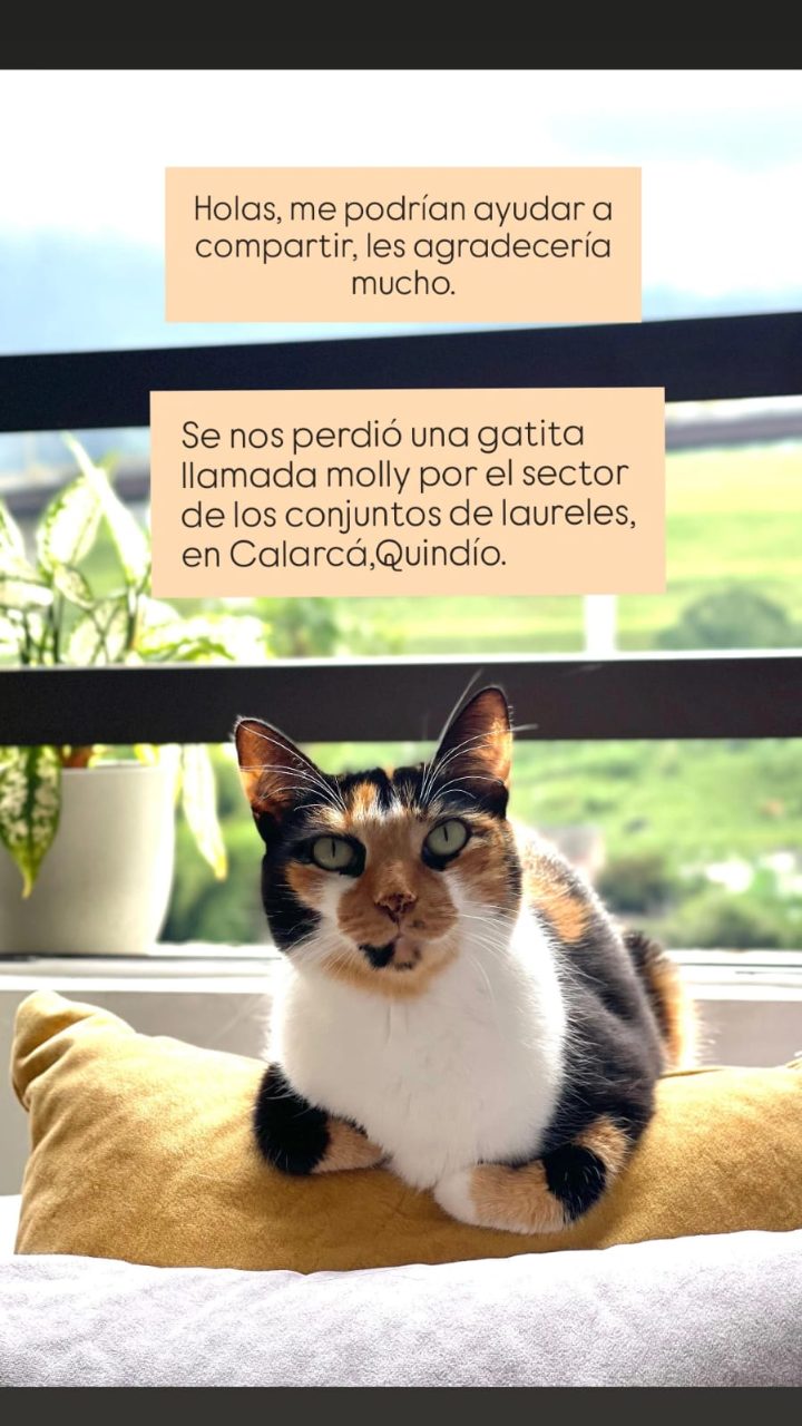 Foto de Molly