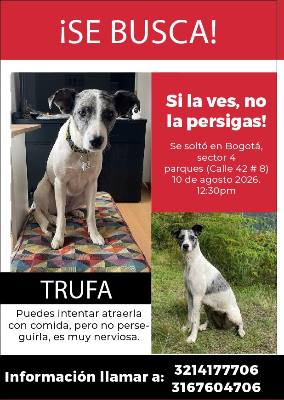 Foto de Trufa