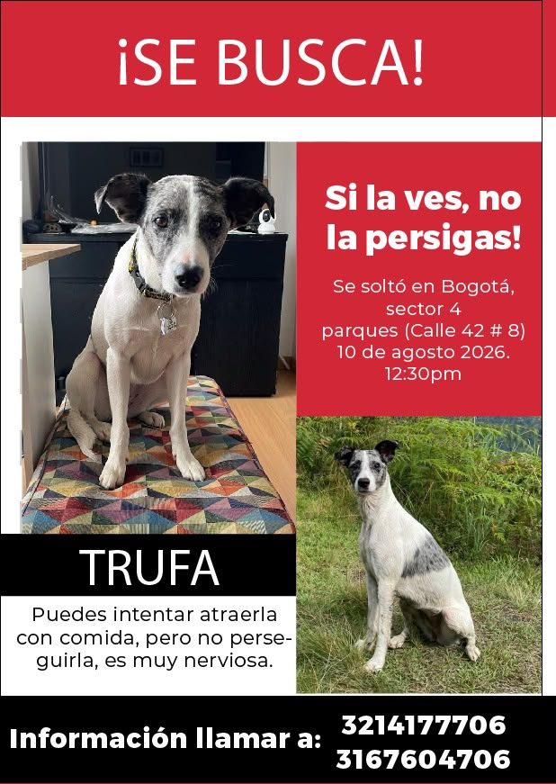 Foto de Trufa