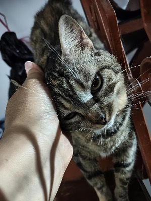 Foto de Melina