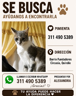 Foto de Pimienta