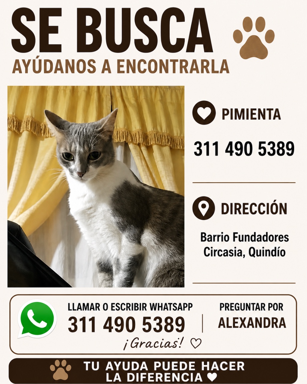 Foto de Pimienta