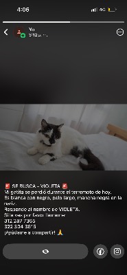 Foto de Angie Ortiz