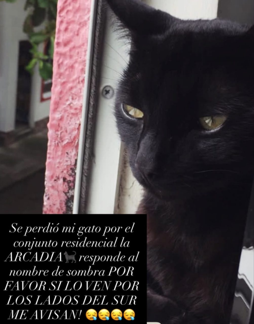 Foto 2 de Sombra