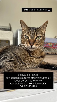 Foto de Romeo