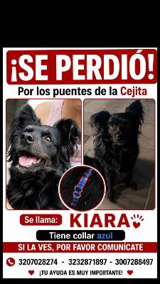 Foto de Kiara