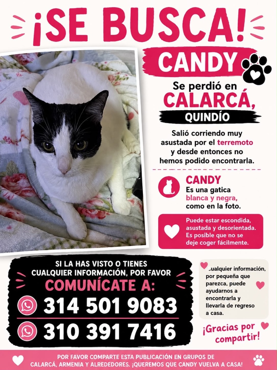 Foto de Candy