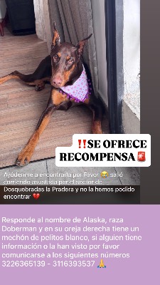 Foto de Alaska