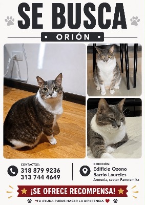 Foto de Orión