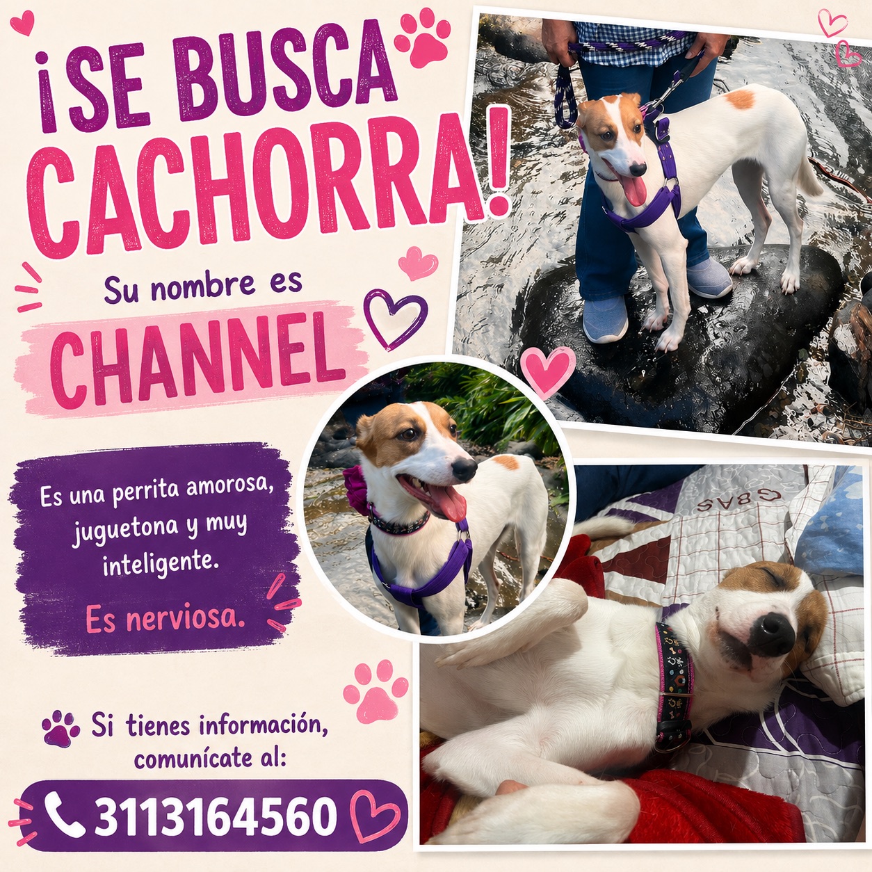 Foto de Channel