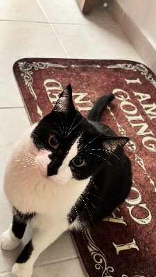 Foto de Gabriel